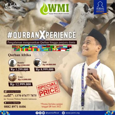 Qurban Experience